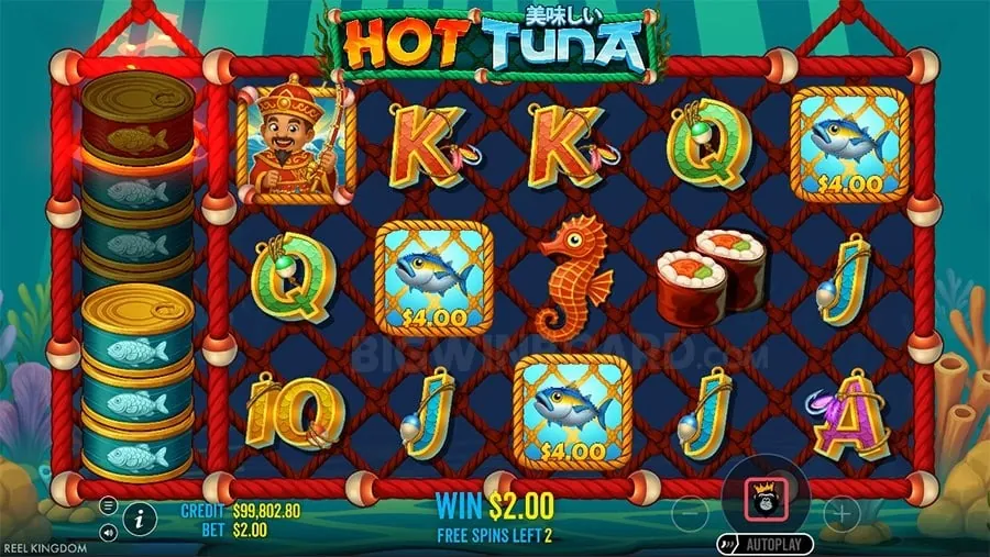 207pub Setting Healthy Gambling Limits